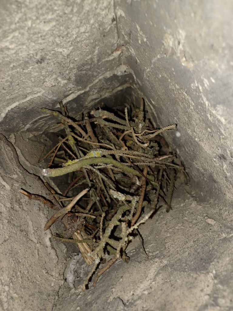 Debouchage de cheminée avec intervention nacelle à Rombies-et-Marchipont, couvreur Valenciennes