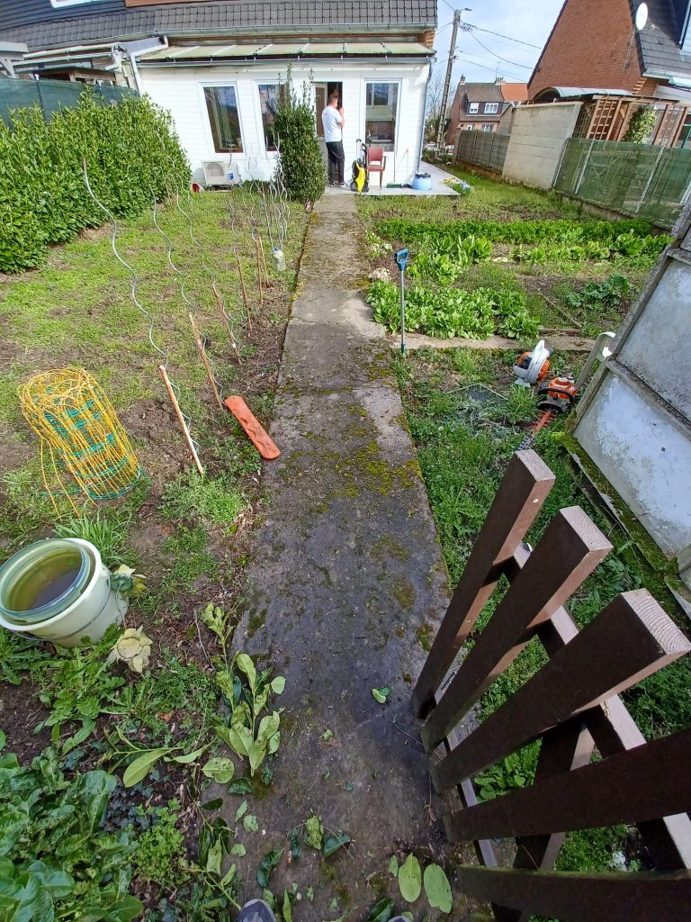 Nettoyage à haute pression de dalle allée de jardin à Petite-Forêt