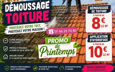 Promo de printemps sur le démoussage toiture et traitement hydrofuge
